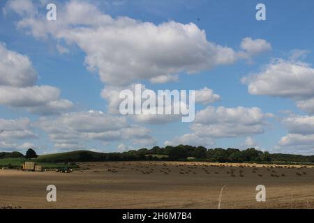 Des balles de foin rondes sont empilées sur un camion par un tracteur pour le transport hors du champ, le jour d'été près de Wakefield West Yorkshire, au Royaume-Uni Banque D'Images