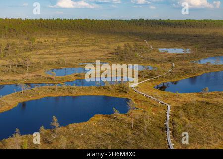 Une vue sur le sentier de randonnée de la tourbière Mukri, en Estonie Banque D'Images
