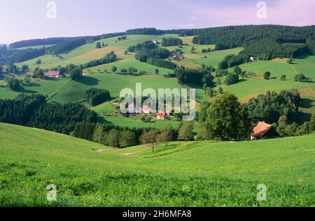 Fermes, Forêt Noire, Bade-Wurtemberg, Allemagne Banque D'Images