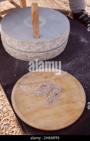Réenactor meulant les grains avec la main mill ancienne. Foyer sélectif Banque D'Images