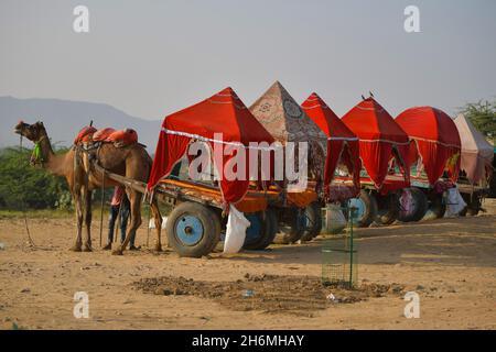 Pushkar, Inde.11 novembre 2021.(11/11/2021) la foire de Pushkar est l'une des plus grandes foires de l'Inde pour les chameaux, les chevaux et le bétail.Outre le commerce du bétail, il s'agit d'une importante saison de pèlerinage pour les Hindous jusqu'au lac Pushkar.La foire de Pushkar est également devenue une attraction touristique importante pour les voyageurs nationaux et internationaux, étant donné la saison froide, l'abondance de thèmes culturels colorés.(Photo de Shaukat Ahmed/Pacific Press/Sipa USA) crédit: SIPA USA/Alay Live News Banque D'Images
