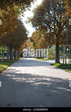 Plan vertical d'un passage entre des arbres denses par une journée ensoleillée dans le parc Volksgarten, Vienne, Autriche Banque D'Images