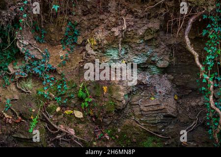 Grès et mudstone amples et à lit mince dans une banque de ruisseau instable de Hang Bank Wood, une ancienne forêt de la vallée de Gleadless, Sheffield. Banque D'Images