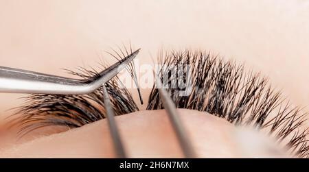 Bannière Pocedure extension Eyelash.Femme maître peignes Lashes 5d. Banque D'Images