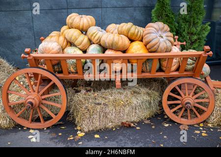 Différentes variétés de grandes citrouilles.Chariot en bois avec différentes citrouilles.Beaucoup de gourdes ornementales différentes.Saison de récolte sur la ferme, au doré Banque D'Images
