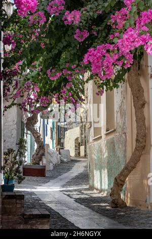 Les backsreets romantiques des îles grecques d'Ano Syros.Ano Syros a été fondée en 1200 par les Vénitiens. Banque D'Images