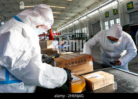 Zhangye, Zhangye, Chine.17 novembre 2021.Le 16 novembre 2021, le personnel du centre de tri express postal de la ville de Zhangye, province de Gansu, effectue des inspections d'identification de traçabilité sur les colis express désinfectés.Le même jour, Zhangye, Gansu a repris son service de livraison postale.Des sociétés express comme Zhangye City Post Express et Shunfeng ont effectué une désinfection stricte des véhicules pour plus de 300,000 colis express bloqués à Lanzhou, des codes de test de température du personnel, la prévention et l'élimination des épidémies de courrier express et la traçabilité.Après identification et après Banque D'Images