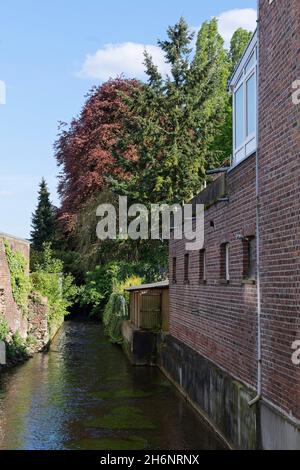 Ruisseau Muehlenteich, Linnich, district de Dueren, Rhénanie-du-Nord-Westphalie, Muehlenteich,Allemagne Banque D'Images