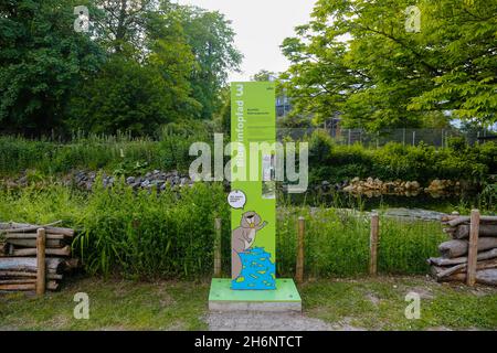 Beaver Trail, panneau d'information, Friedrichsau, Ulmer Prater, Ulm,Bade-Wurtemberg, Allemagne Banque D'Images