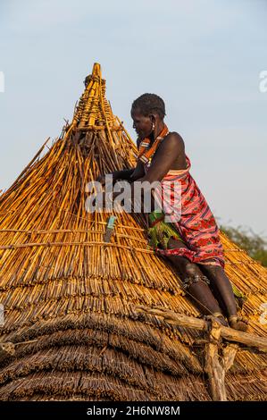 Femme réparant le toit d'une hutte traditionnelle de la tribu Toposa, Équatoria de l'est, Soudan du Sud Banque D'Images