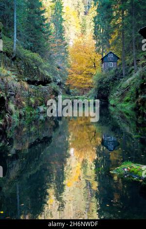 Automne dans la gorge Edmundsklamm avec la rivière Kamenice (Kamnitz allemand), zone centrale Saxon Bohemian Suisse National Park, grès d'Elbe Banque D'Images