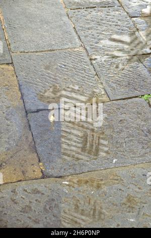 Cattedrale di Siena di Santa Maria Assunta, Toscana, Italie Banque D'Images