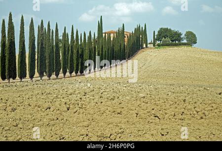 Crete Senesi, Toscane, Italie Banque D'Images