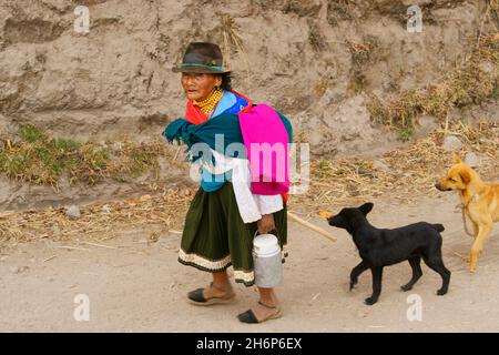 EQUATEUR, PRÈS DU VILLAGE DE MARIANA ACOSTA, PRÈS DE QUITO, VIEILLE FEMME Banque D'Images