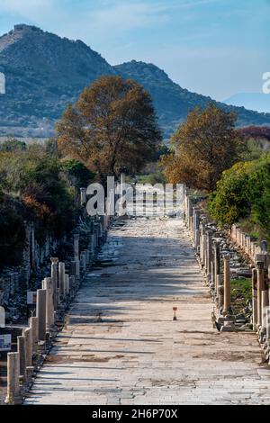 Ephèse est une ancienne ville de la région du centre de la mer Égée en Turquie, près de Selçuk.Ses vestiges excavés reflètent des siècles d'histoire, de classique Banque D'Images