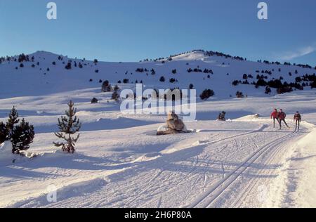 FRANCE.PYRÉNÉES-ORIENTALES (66) CERDAGNE EN HIVER.FONT-ROMEU Banque D'Images