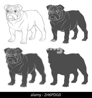 Jeu d'illustrations en noir et blanc avec bouledogue anglais.Objets vectoriels isolés sur fond blanc. Illustration de Vecteur