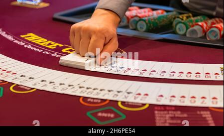 Marchand de poker avec deux jeux de cartes Banque D'Images