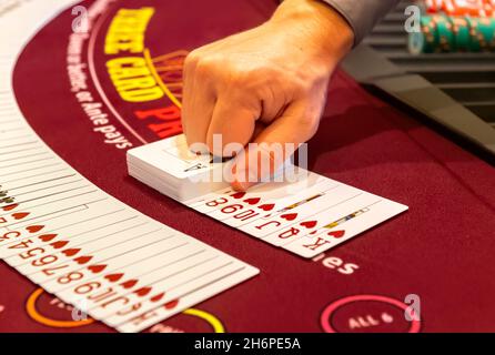 Marchand de poker avec deux jeux de cartes Banque D'Images