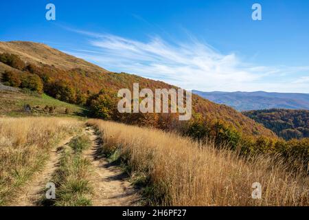 Automne dans les montagnes de Bieszczady.Sentier de randonnée à Smerek. Banque D'Images