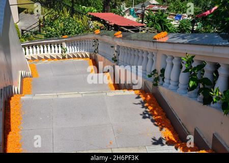Escalier décoré de feuilles de fleurs marigold. Banque D'Images