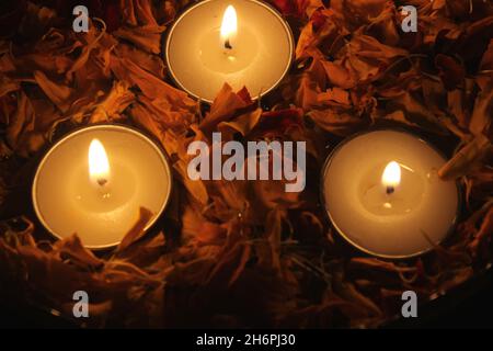 Gros plan des bougies chauffe-thé et des pétales de fleurs marigold Banque D'Images