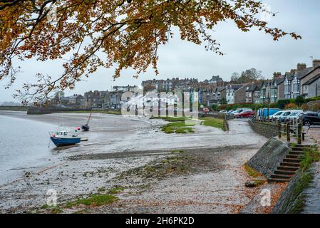 Feuilles d'automne, Arnside, Milnthorpe, Cumbria, Royaume-Uni Banque D'Images