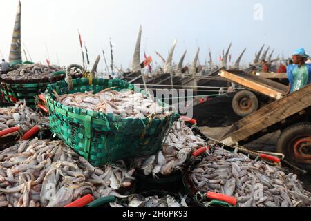 Chittagong, Bangladesh.17 novembre 2021.Le poisson au marché de la pêche Ghat à Chittagong.Fishery Ghat, le plus grand marché de poissons de la ville portuaire, est l'un des principaux centres Hilsa du pays, il joue un rôle essentiel dans l'économie bangladaise.Pêche le Ghat est un centre de bonheur et d'espoir pour les pêcheurs, les vendeurs et les moyens de subsistance liés au poisson.Crédit : SOPA Images Limited/Alamy Live News Banque D'Images