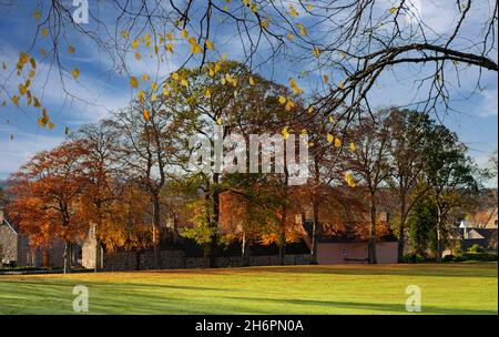 FORRES MORAY ÉCOSSE QUELQUES MAISONS DANS GRANT PARK ET DES ARBRES AVEC DES FEUILLES AUX COULEURS AUTOMNALES Banque D'Images