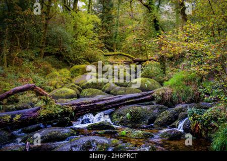 Becky Falls est un endroit de beauté sur Dartmoor à Devon Banque D'Images