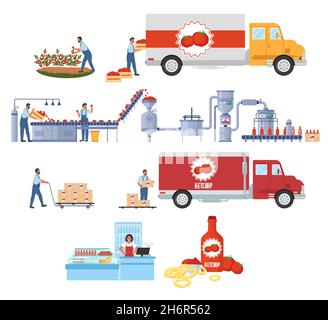 Infographie sur les vecteurs de production de ketchup à la tomate.Récolte.Usine de transformation et de fabrication de la sauce tomate.Industrie alimentaire Illustration de Vecteur