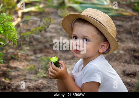 légumes dans les mains des enfants à la ferme.Mise au point sélective.Nature Banque D'Images