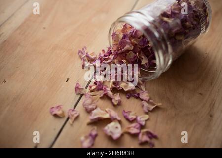 Un pot de pétales de rose sauvages séchés se répand sur une surface de travail vieillie en lumière douce. Banque D'Images