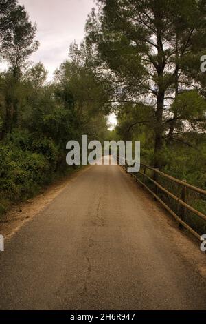 Paysage le long de la voie verte de l'ebro dans la province de Tarragone, Espagne Banque D'Images