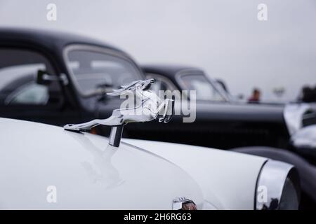 Nijni Novgorod Russie St.Gorky 24, 10.13.2021.Voiture rétro Volga, usine automobile de Gorky.Voiture avec le logo de la marque de voiture Deer Hood.Haute qualité p Banque D'Images