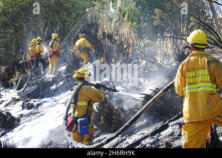 Les pompiers de la ville de San Diego travaillent un feu de broussailles près de la route d'état 52, appliquant de la mousse de lutte contre le feu à la dense sous-croissance. Banque D'Images