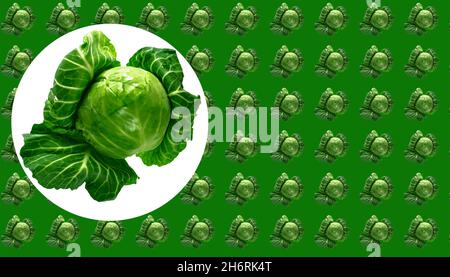 tête de jeune chou vert sur fond blanc, espace pour le texte, sur fond vert avec des éléments de produit Banque D'Images