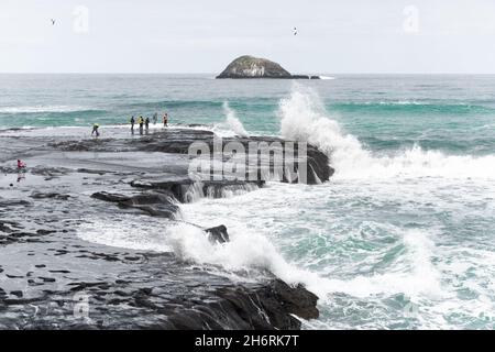 Muriwai Beach, North Island, New Zealand Banque D'Images