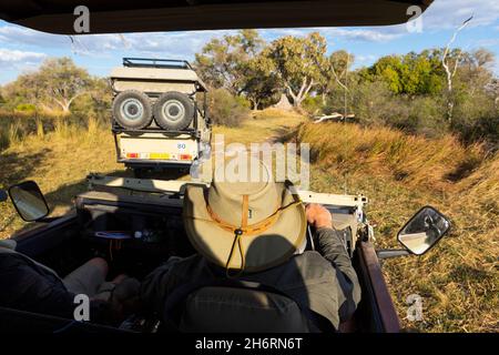 Un guide safari dans un chapeau de brousse au volant d'une jeep. Banque D'Images