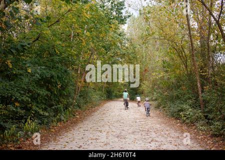 Vue arrière du père et des enfants en vélo sur un sentier boisé en automne Banque D'Images