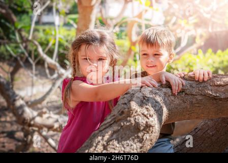 deux enfants frappent sur des troncs d'arbre. garçon et fille ont grimpé un arbre et regardent d'en haut Banque D'Images