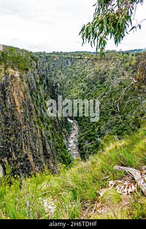 Gorge de la rivière Apsley au-dessous des chutes, Walcha dans la région des Tablelands du Nord de la Nouvelle-Galles du Sud, Australie. Banque D'Images