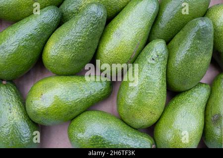 Un certain nombre d'avocats verts brillants sont exposés dans un magasin d'un greengrocer Banque D'Images