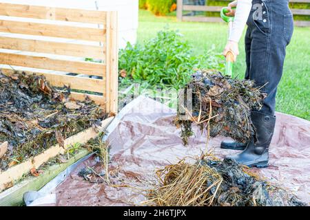 Un jardinier portant des bottes et des combinaisons en plastique tourne un tas de compost à l'aide d'une pelle ou d'une fourchette. Le travailleur transfère partiellement le matériau composté de Banque D'Images