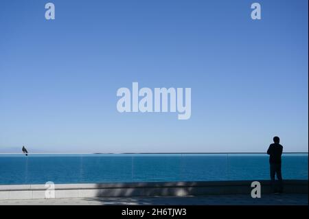 solitude concept d'un seul homme et seul oiseau colombe sur la promenade de la mer Banque D'Images