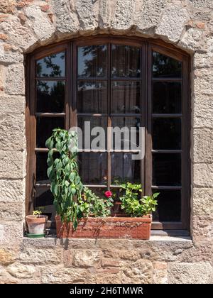 Particulier d'une fenêtre avec barres de fer et plante verte de basilic d'une ancienne maison dans le village médiéval italien appelé Bolgheri en Toscane. Banque D'Images