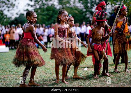 Danse traditionnelle de Papouasie Banque D'Images