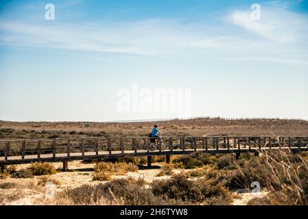 Un père à vélo avec son bébé sur des promenades en bois d'Alvor, Algarve, Portugal Banque D'Images