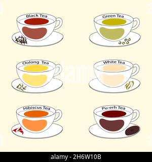un ensemble de différents types de thé dans les tasses Illustration de Vecteur