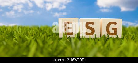 Les lettres ESG (Environment social Governance) sur des cubes de bois debout dans l'herbe avec un fond bleu ciel.Concept des normes ESG en matière d'investissement. Banque D'Images